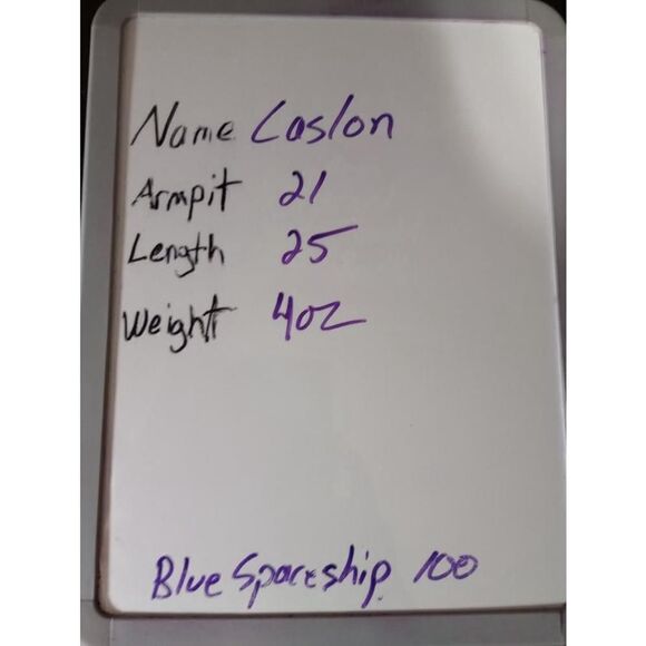 Caslon Shirt Ladies Large White Green Striped Off Shoulder Semi Sheer - Picture 8 of 8